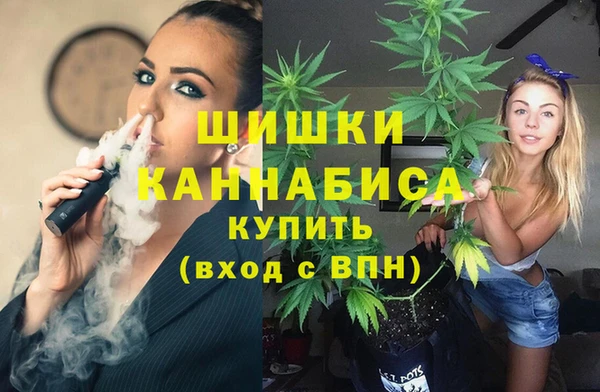 прущие грибы Майский