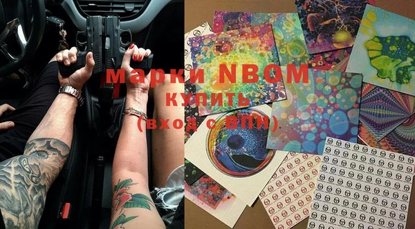 прущие грибы Майский