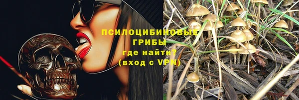 винт Магас