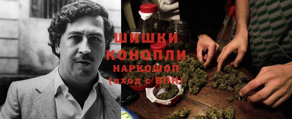 прущие грибы Майский
