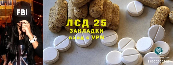 прущие грибы Майский