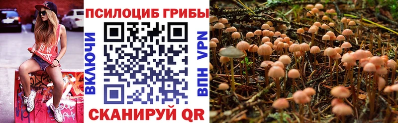 Псилоцибиновые грибы MAGIC MUSHROOMS  Купить где  Новая Ладога 